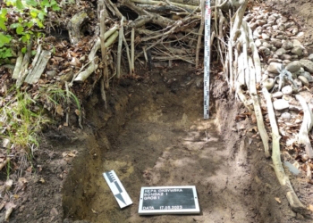 Kto zbezcześcił i okradł grób polskiego żołnierza?