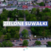 „Zielone Suwałki” – przetargi na nową zieleń