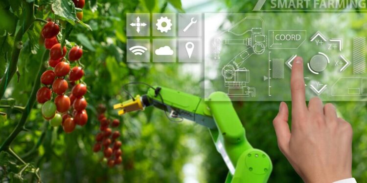 Dolina Rolnicza 4-0. Konferencja podsumowująca pierwszy etap projektu