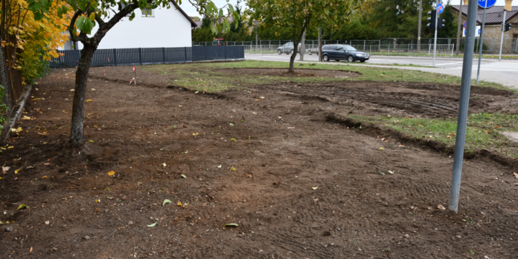 Zielone Suwałki – ruszyły pierwsze prace