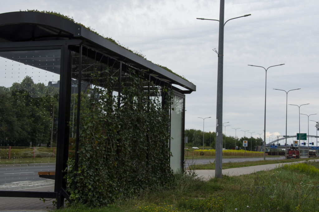 Dzień Obniżania Kosztów Energii