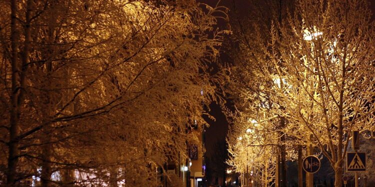 mandat za nieodśnieżony chodnik