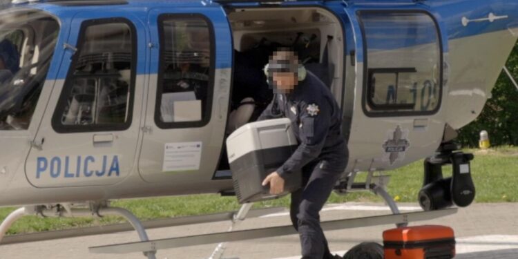 ZDĄŻYĆ NA CZAS - KOLEJNY TRANSPORT ORGANU DO PRZESZCZEPU