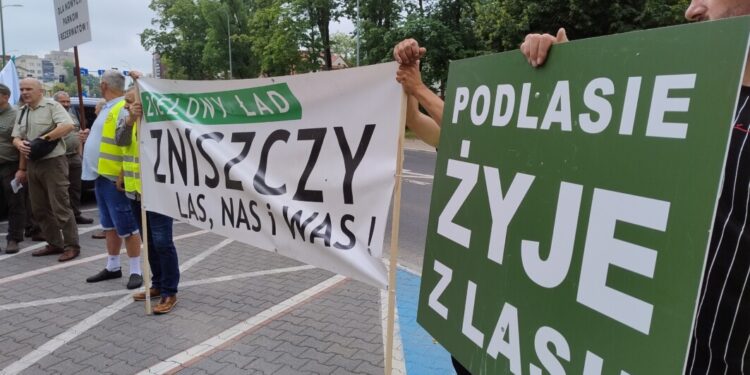 Protest Branży Drzewnej wsparł akcję leśników