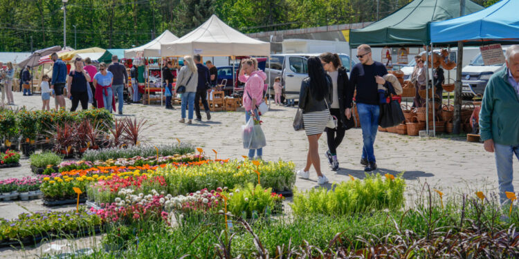 Jarmark „Zielono i smacznie” – udana pierwsza edycja