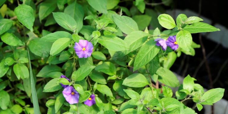 II edycja Ogólnopolskiego Konkursu