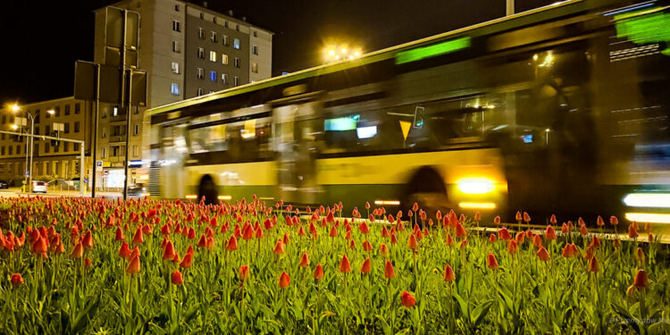 Wakacyjne rozkłady jazdy autobusów