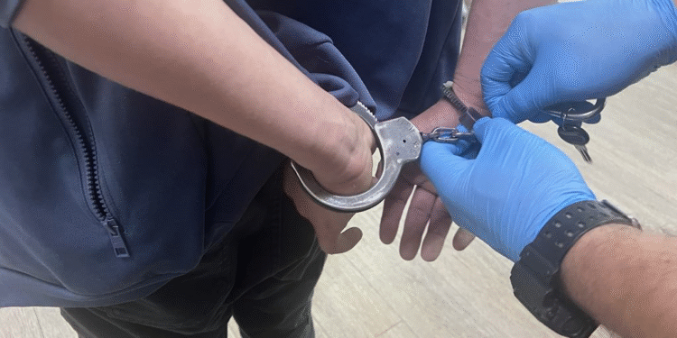 Złodziej wózka ustalony