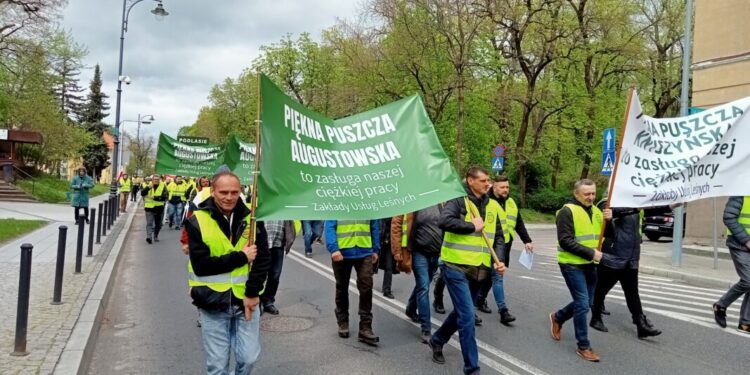 Wielki ogólnopolski protest leśny w Białymstoku