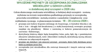 Akcja szczepienia lisów w Białymstoku