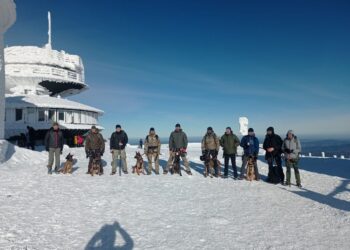 K9 W KARKONOSZACH – ĆWICZENIA PSÓW BOJOWYCH
