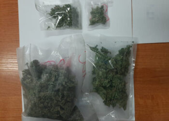 PODEJRZANY O PRZESTĘPSTWA NARKOTYKOWE TYMCZASOWO ARESZTOWANY