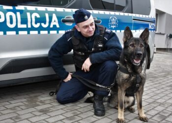KŁUSOWNICY W RĘKACH POLICJANTÓW