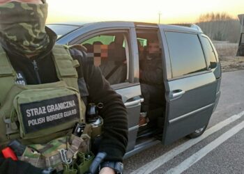 Z fałszywym prawem jazdy po nielegalnych migrantów