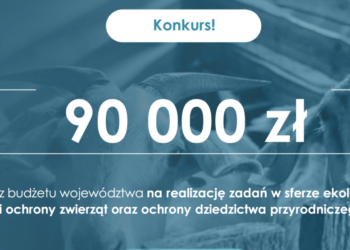 Otwarty konkurs ofert na ekologię