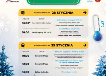 324714232_1329374191231967_5262497748946186168_n-1-700×982