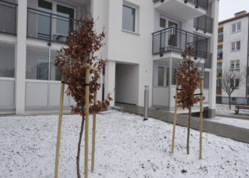 KTBS wybudowało nowe mieszkania