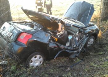 Świrydy. Samochód osobowy uderzył w drzewo