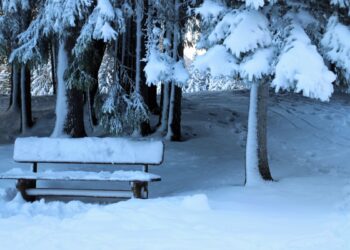 KILKA SŁÓW O ŚNIEGU I JEGO ZNACZENIU W PRZYRODZIE