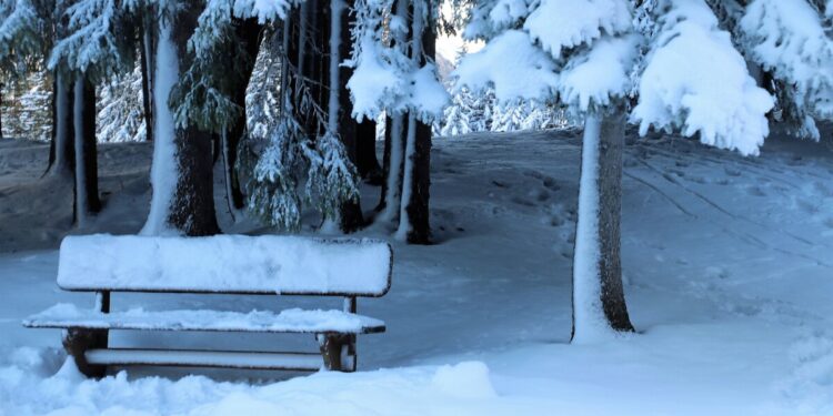 KILKA SŁÓW O ŚNIEGU I JEGO ZNACZENIU W PRZYRODZIE