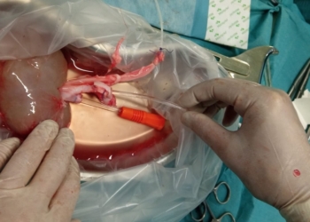 NanoGroup S.A. rozpoczyna kolejny etap badań