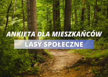 Ankieta Lasy o zwiększonej funkcji społecznej