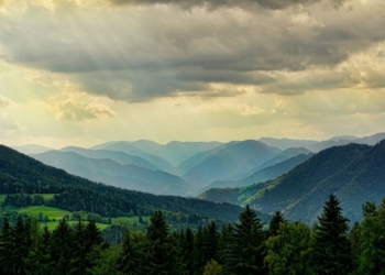 buty męskie trekingowe