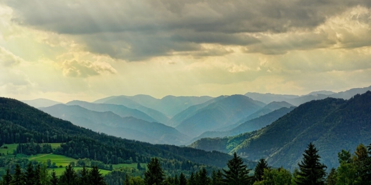 buty męskie trekingowe