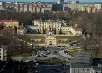 Wiosenne kwiaty w Białymstoku