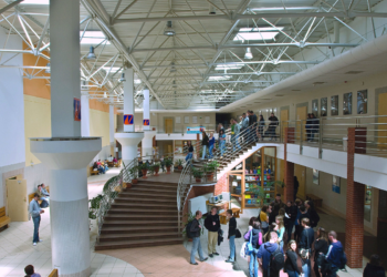 Logistyka to kierunek przyszłości! Rozmowa z prof. dr hab. inż. Joanną Ejdys z Wydziału Inżynierii Zarządzania Politechniki Białostockiej