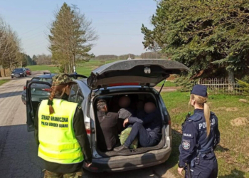 Ucieczka, podrobione prawo jazdy i nielegalni migranci przy granicy z Litwą