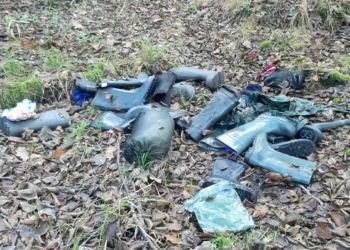 Światowy Dzień Ziemi –  Funkcjonariusze Straży Granicznej dbają o naszą planetę!