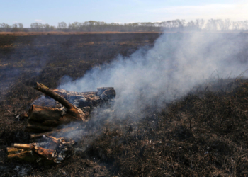 Niebezpieczne wypalanie traw