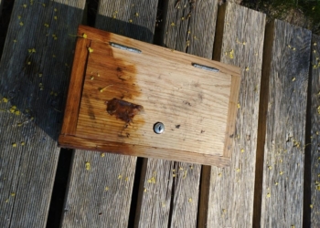 Ukradł z kościoła skarbonkę na datki