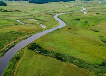 Zdobądź 2 tys. zł na projekt edukujący w zakresie ochrony lokalnego klimatu