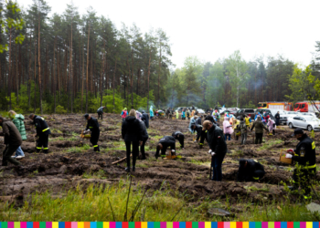 „Łączą nas drzewa”. W Szelągówce zasadzono las pamięci Jana Pawła II