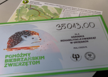 Politechniki Białostockiej zorganizowała zbiórkę na rzecz zwierząt