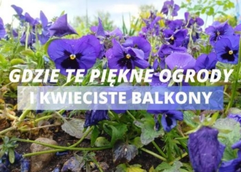 Konkurs „Gdzie te piękne ogrody i kwieciste balkony”