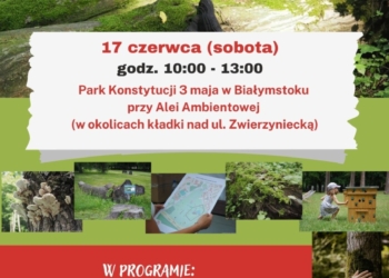 Piknik „Drugie życie drzew”