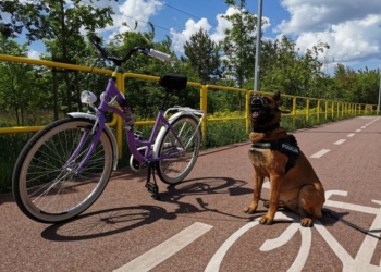 SEZON TRWA-ZABEZPIECZ SWÓJ ROWER