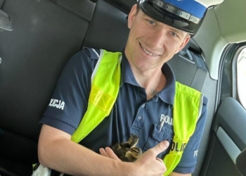 NIE „NAD RZECZKĄ…”, A NA ALEI NIEPODLEGŁOŚCI