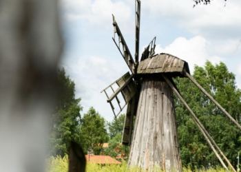 III Piknik Podlaskich Parków Narodowych i Krajobrazowych