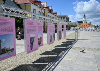 Wystawa 700. rocznica założenia Wilna