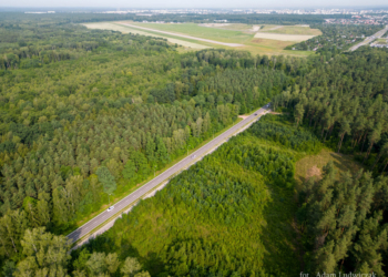 Fakty o lotnisku Krywlany