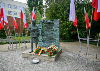 Pamięć o sanitariuszce