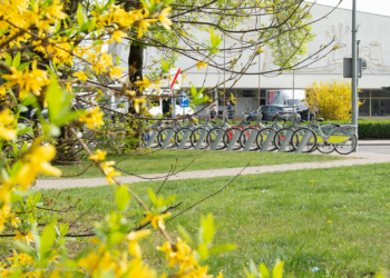 300 tysięcy wypożyczeń BiKeR-ów w Białymstoku