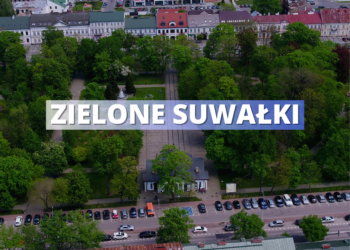 „Zielone Suwałki” – przetargi na nową zieleń