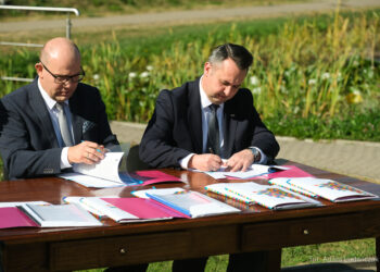 Dofinansowanie do wymiany oświetlenia ulicznego