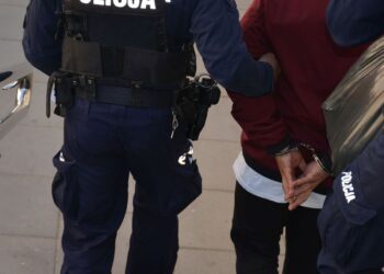 KOLEJNI POSZUKIWANI W RĘKACH POLICJANTÓW