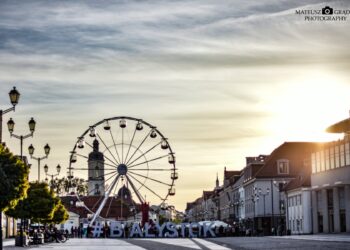 Stypendia dla twórców